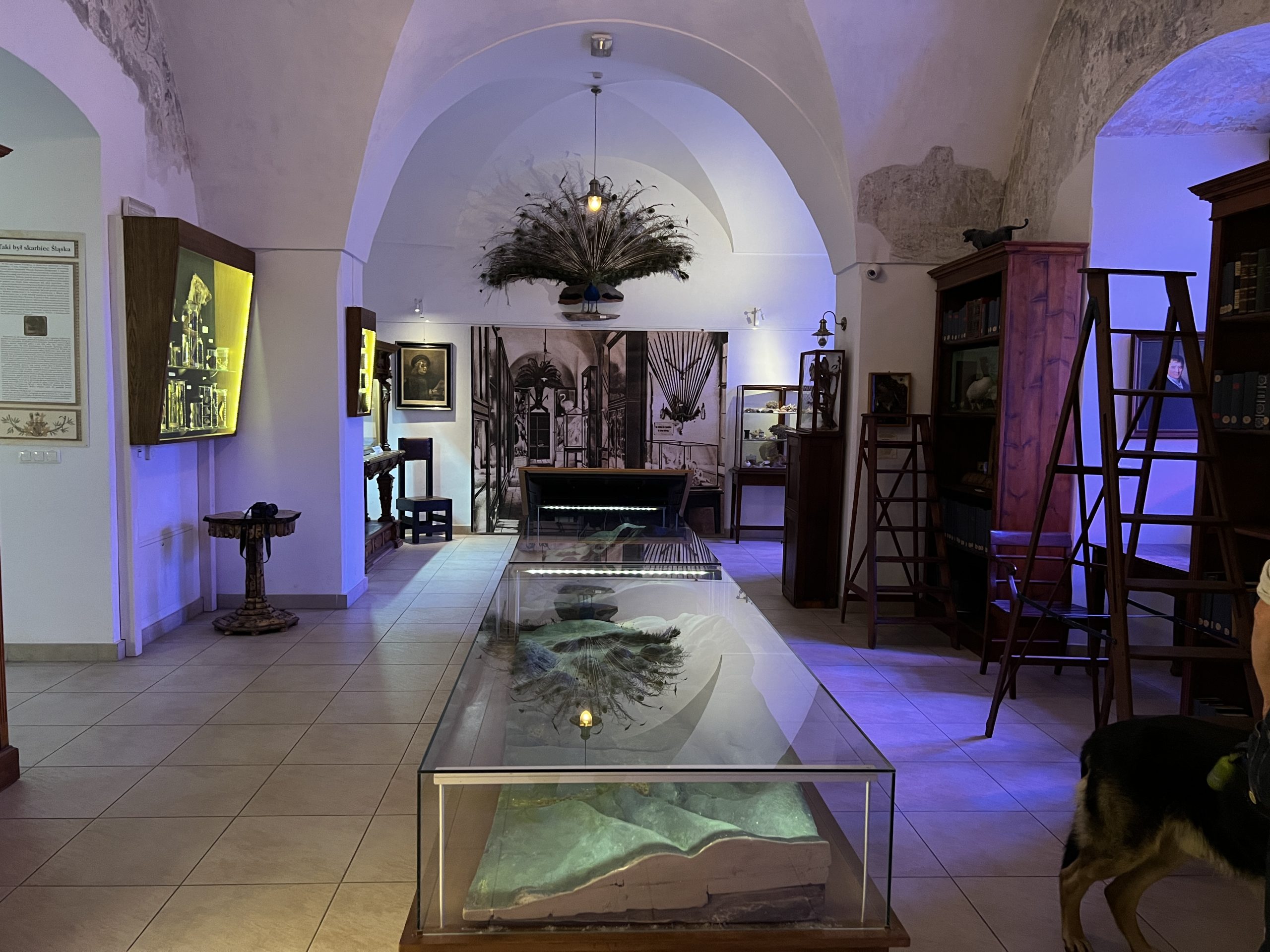 Přírodovědné muzeum Cieplice Přírodovědné muzeum Cieplice