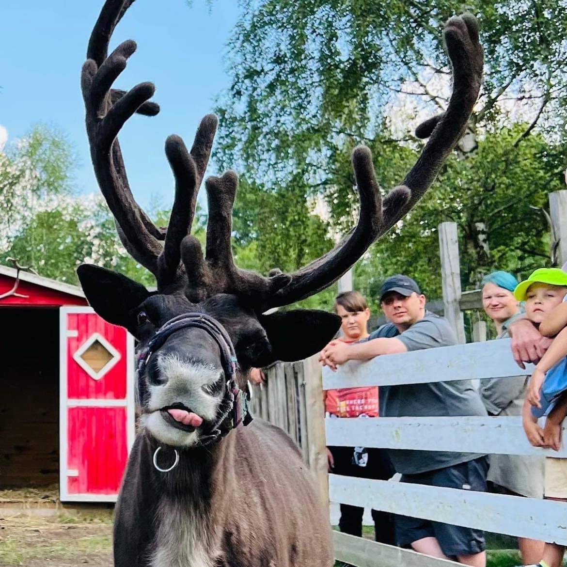 Kalevala sob2 Kalevala