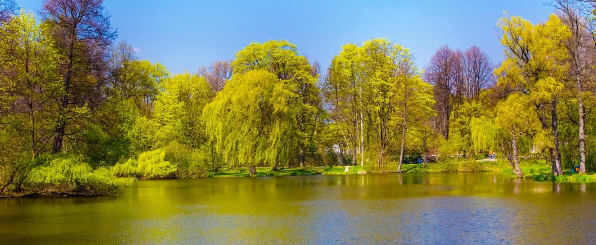 Norský park