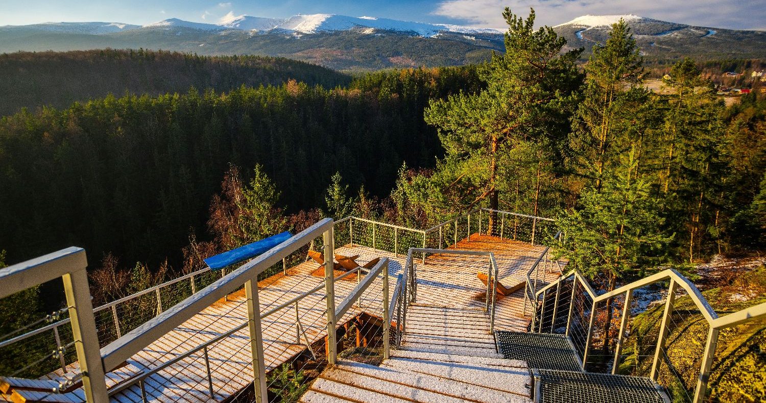 zloty widok